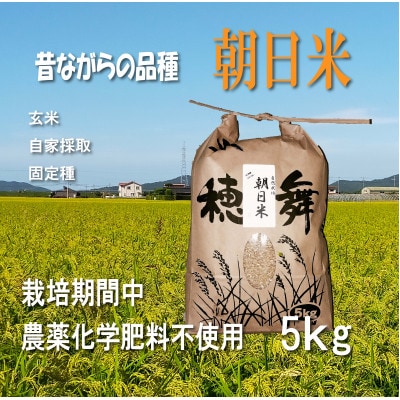 栽培期間中農薬・肥料不使用で作った朝日米　玄米5kg