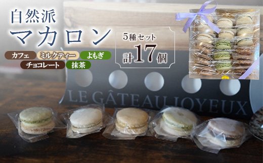 自然派マカロン　17個セット【配送不可地域：離島】