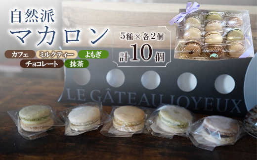 自然派マカロン　10個セット【配送不可地域：離島】