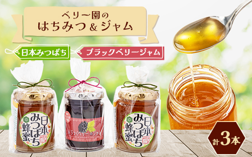 海の見える小さなベリー園の日本みつばちの「ハチミツ」【非加熱】とブラックベリージャムのセット