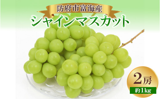 【2025年順次発送】シャインマスカット2房【配送不可地域：離島・北海道・沖縄県・東北・関東・信越、北陸・東海】