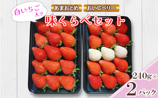 白いちご入り味くらべセット(白いちごトッピング含む「あまおとめ」「おいCベリー」各240g)【配送不可地域：離島】