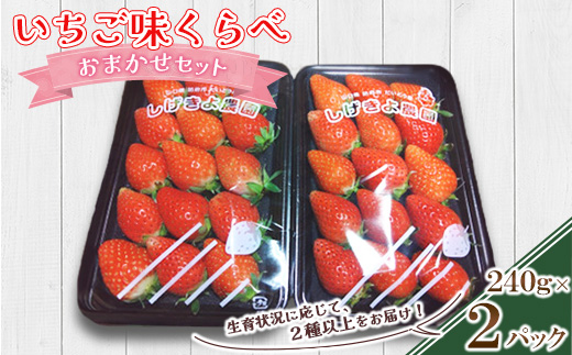 いちご味くらべ　おまかせセット(各パック240g×2(2種類以上))【配送不可地域：離島】