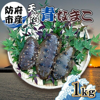 防府市産天然青なまこ1kg【配送不可地域：離島】