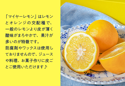 瀬戸内マイヤーレモンよくばりセット「マイヤーレモン」果実約1.8kg＆「そのまんまのマイヤーレモン果汁100％」200ml×3本（化粧箱）【神東ファーム】