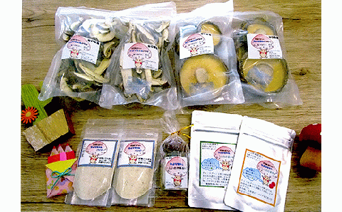山口県産しいたけ「ひよりちゃん」バラエティセット【ひよりの里】