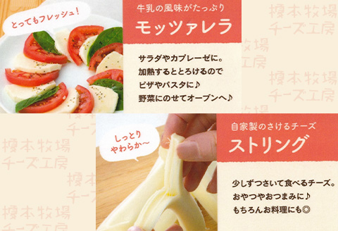 榎本牧場チーズ工房　詰め合わせセット（4種：計500g）【榎本牧場】