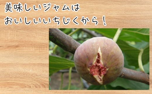 いちじくジャム 3本セット 松宮ぶどう園 いちじくジャム いちじくとブルーベリージャム