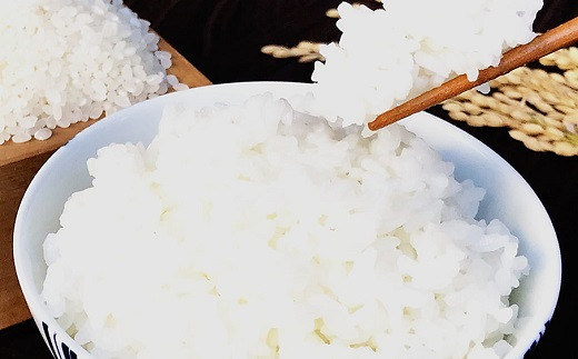 特別栽培米「あきまつり」6kg 岩国地域米(エコ50)【國光米穀店】