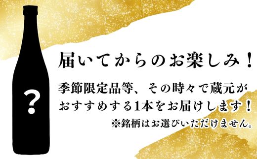 五橋 5種＋シークレット1種 飲み比べ 720ml ×6本【酒井酒造】