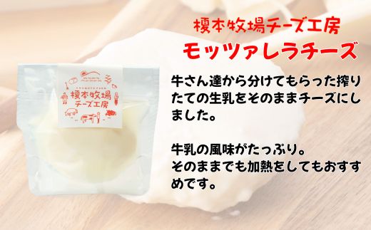モッツァレラチーズ 500g (100g×5)【榎本牧場チーズ工房】