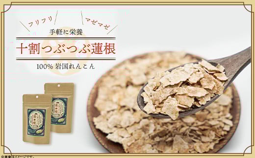 FRoots Selection 本当においしい！岩国れんこんづくし【FRoots】