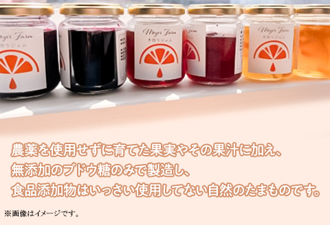 無添加 手作りジャム 6個 食べ比べ (いちご ブルーベリー マイヤーレモン 各2個入り）