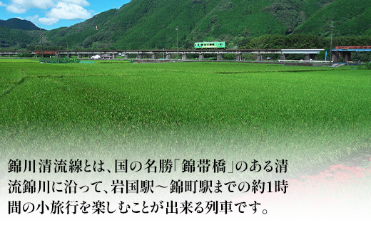 【錦川鉄道】錦川清流線 1日フリーきっぷ 川西駅～錦町駅間 1名