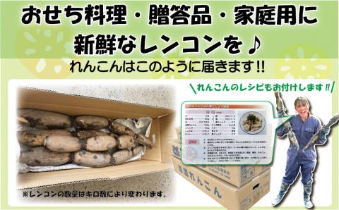 由美屋特選！岩国産れんこん3kg(土付き)【有限会社 由美屋】