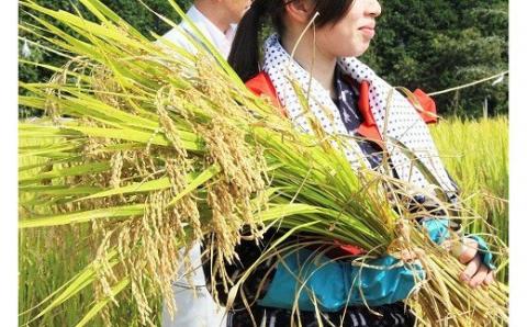 特別栽培米「あきまつり」毎月6kg×3回お届け 岩国地域米(エコ50)【國光米穀店】