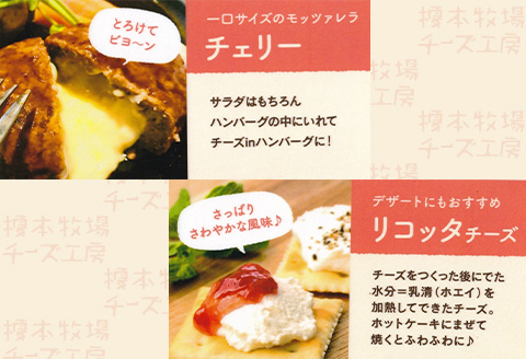 榎本牧場チーズ工房　詰め合わせセット（4種：計500g）【榎本牧場】