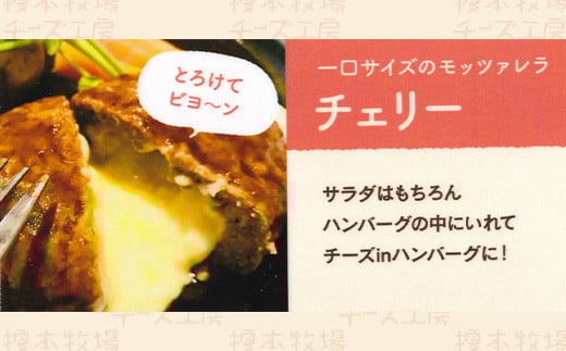 チェリーチーズ 500g (100g×5)【榎本牧場チーズ工房】