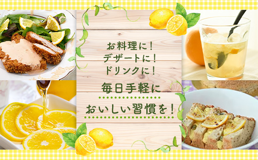 マイヤーレモン 果汁 100% すっきりストレート果汁 1000ml 3本 / レモン果汁 レモン しぼりたて 柑橘 料理 ドリンク デザート お菓子作り ドレッシング 調味料 炭酸割り ギフト プレゼント 人気 おすすめ / 山口県岩国市/株式会社神東ファーム [BUBD007]