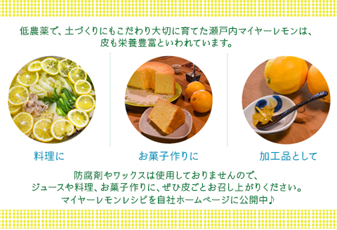 マイヤーレモン 約2kg 14～16個 / レモン オレンジ 交配 品種 檸檬 れもん 柑橘 フルーツ 皮ごと 料理 お菓子作り ジャム作り レモネード はちみつ漬け ドレッシング 贈答 ギフト プレゼント 人気 おすすめ / 山口県岩国市/株式会社神東ファーム [BUBD008]