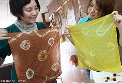 やましろ民泊・体験学習　『草木染め』『沢トレッキング』体験【やましろ体験交流協議会】