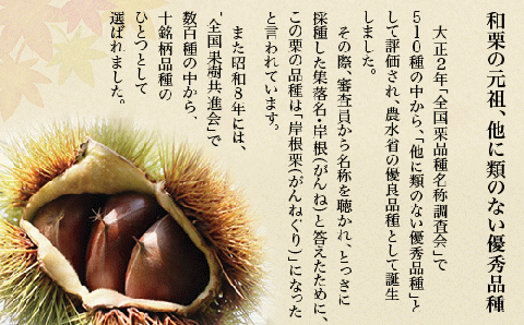 岩国がんね栗「華」（パウンドケーキ500g）【がんね栗の里】