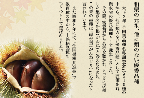 岩国がんね栗「栗のカケラ」70g×3箱【がんね栗の里】