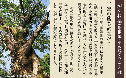 がんね栗衛門 ミニ 3種 食べ比べセット がんね栗の栗きんとん 無添加【がんね栗の里】