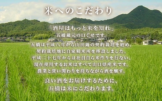 五橋 紙カップ 180ml 30本【酒井酒造】