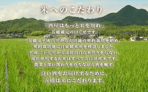 五橋 紙パック 1.8L 1800ml 6本セット【酒井酒造】
