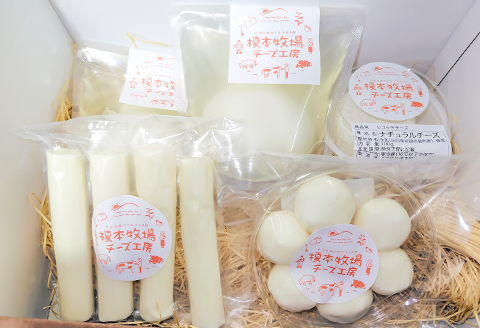 榎本牧場チーズ工房　詰め合わせセット（4種：計500g）【榎本牧場】