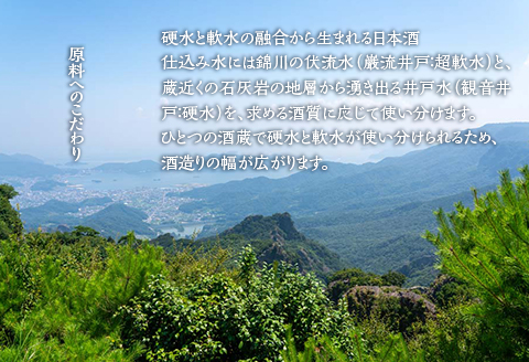 黒松錦 八段酒仕込 貴醸酒 360 ml 酒 日本酒 極甘口 村重酒造