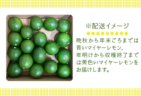 マイヤーレモン 約2kg 14～16個 / レモン オレンジ 交配 品種 檸檬 れもん 柑橘 フルーツ 皮ごと 料理 お菓子作り ジャム作り レモネード はちみつ漬け ドレッシング 贈答 ギフト プレゼント 人気 おすすめ / 山口県岩国市/株式会社神東ファーム [BUBD008]