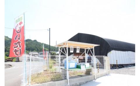 山口県産しいたけ「ひよりちゃん」バラエティセット【ひよりの里】