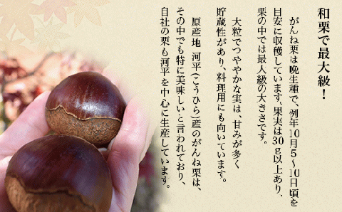 岩国がんね栗「煌」（パウンドケーキ620g）【がんね栗の里】