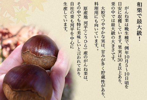 岩国がんね栗「栗のカケラ」70g×3箱【がんね栗の里】