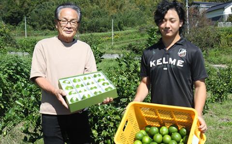 瀬戸内マイヤーレモン　ＸＬサイズ（約150g）9個入り