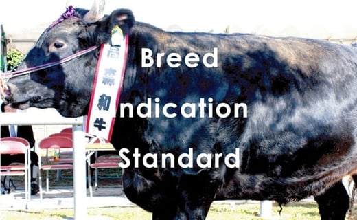 山口県産 高森和牛 切り落とし 300g 黒毛和牛【ミコー食品】