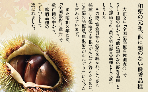 がんね栗衛門 ミニ 3種 食べ比べセット がんね栗の栗きんとん 無添加【がんね栗の里】