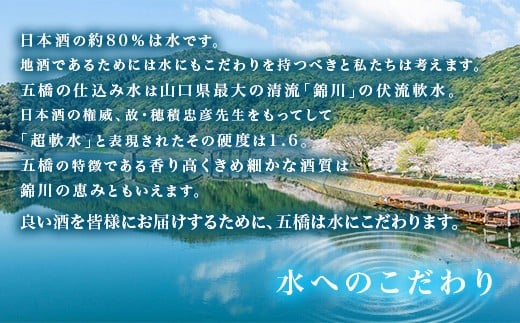 五橋 6種 飲み比べ 720ml ×6本【酒井酒造】