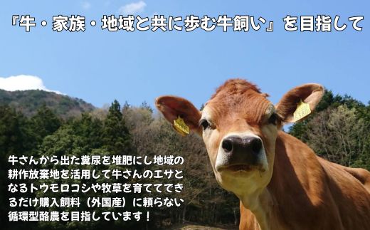 ストリングチーズ 500g (100g×5) さけるチーズ【榎本牧場チーズ工房】