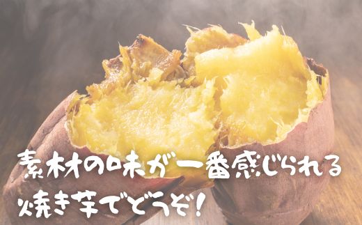 山口県岩国市産 さつまいも シルクスイート 金時 4.8kg 国産