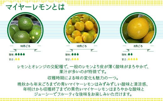 そのまんまのマイヤーレモン 果汁 100% 900ml 3本 / マイヤーレモン レモン果汁 レモン 柑橘 料理 ドリンク デザート お菓子作り ドレッシング 調味料 レモンサワー 贈答 ギフト プレゼント 人気 おすすめ / 山口県岩国市/株式会社神東ファーム [BUBD004]
