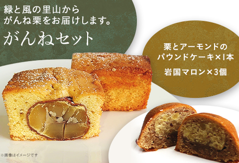 がんねセット(栗とアーモンドのパウンドケーキ×1本、岩国マロン×3個)【里山カフェ　コンディトライHAKU】