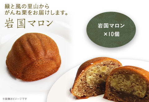 岩国マロン　10個セット(がんね栗をたっぷり使ったマドレーヌ)【里山カフェ　コンディトライHAKU】