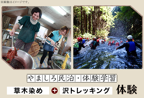 やましろ民泊・体験学習　『草木染め』『沢トレッキング』体験【やましろ体験交流協議会】