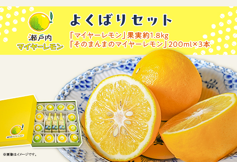 瀬戸内マイヤーレモンよくばりセット「マイヤーレモン」果実約1.8kg＆「そのまんまのマイヤーレモン果汁100％」200ml×3本（化粧箱）【神東ファーム】