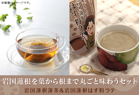 岩国蓮根を葉から根まで丸ごと味わうセット(岩国蓮根蓮茶＆ミルクで飲む岩国蓮根はす粉ラテの素)【池本食品】