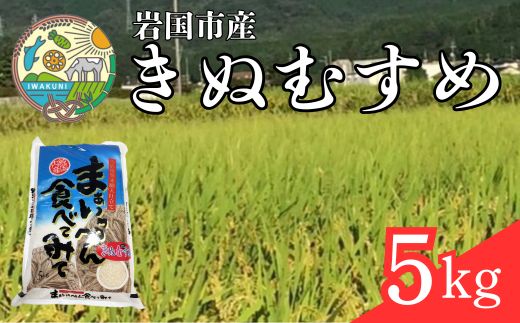 きぬむすめ 5kg 岩国市産 精米【いわくにアグリパートナーズ】