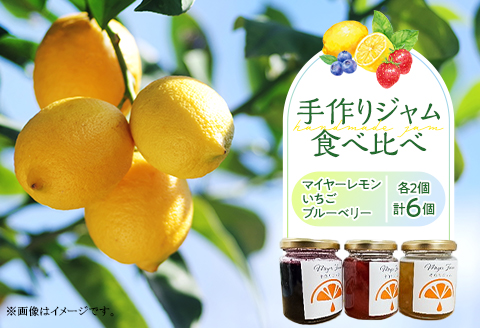 無添加 手作りジャム 6個 食べ比べ (いちご ブルーベリー マイヤーレモン 各2個入り）